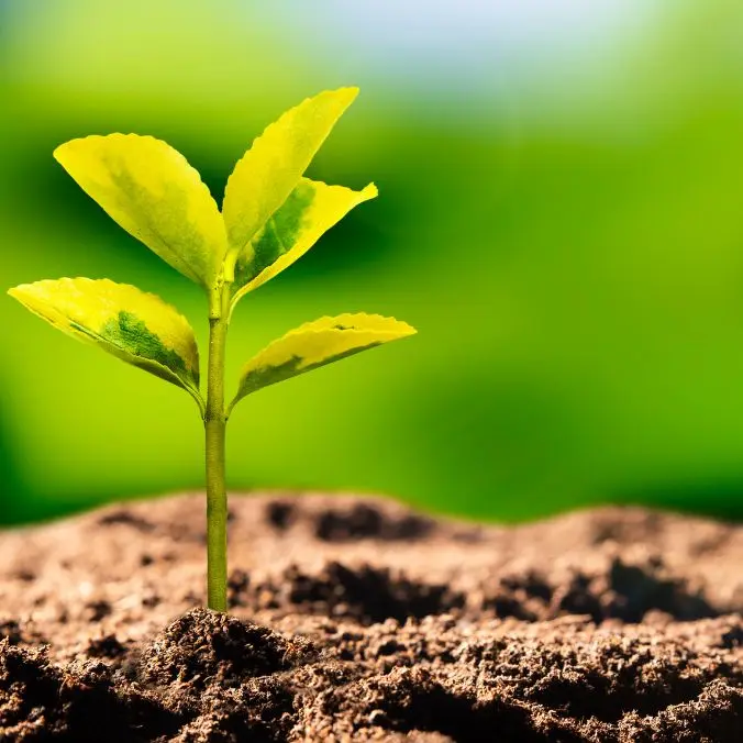 milieueffectenrapportage screening private projecten